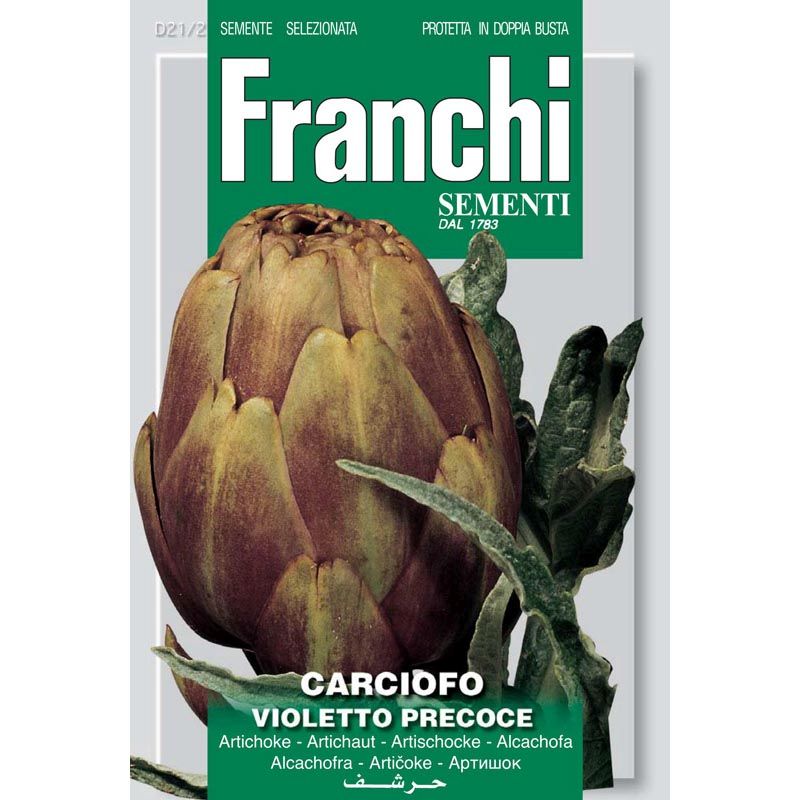 Artichoke Violetto